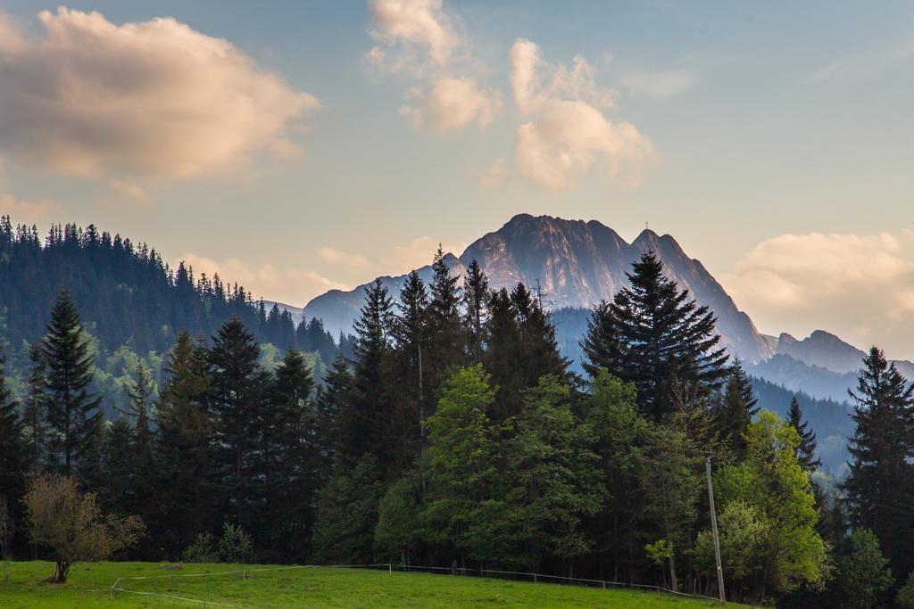 Willa Stachoniówka 2 Zakopane Exterior foto